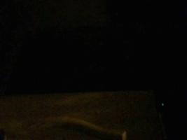rossishen  GIF