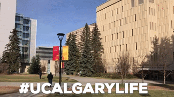 canadian universities ucalgarylife GIF by University of Calgary