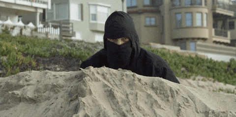 GIF Ninja Espião por Walk Off The Earth