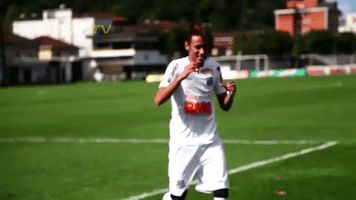 santos fc soccer GIF by Santos Futebol Clube