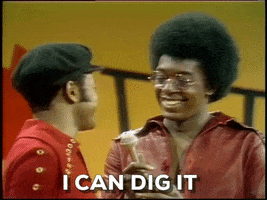 I Can Dig It Don Cornelius GIF by Soul Train
