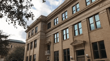 texas am college GIF by Texas A&M University