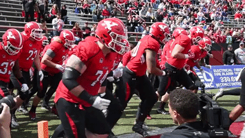Ysu Go Guins GIF by Youngstown State University