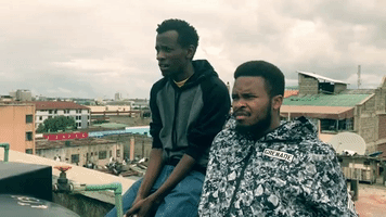 Too Early For Birds GIF