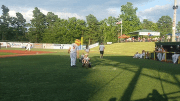 asheboro copperheads baseball GIF