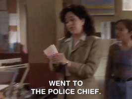 The Mystery Files Of Shelby Woo Nicksplat GIF