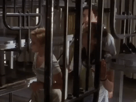 200.gif?cid=fc005b0838f87a36a12e3ffcab1a267ad12a50833464a5ed&rid=200.gif&ct=g
