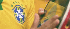 Selecao Brasileira Futebol GIF