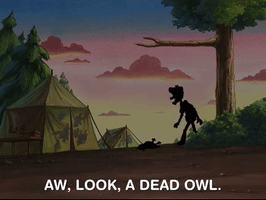 hey arnold nicksplat GIF