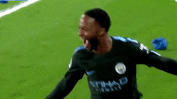 Man City Football GIF by Manchester City