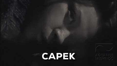 capek meaning, definitions, synonyms