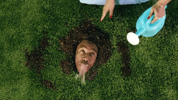 tyler the creator GIF by Kali Uchis