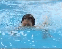 Sport Diving GIF