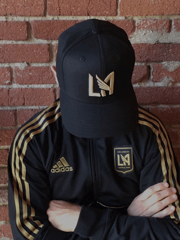 los angeles fc soccer GIF by LAFC