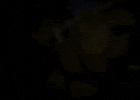 P!NK GIF
