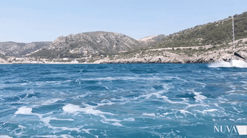 nuvayachts water GIF