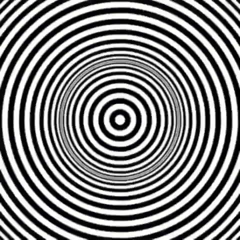 thaia-ex-guizematsu  GIF