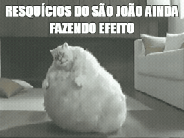 prefeituradosalvador  GIF