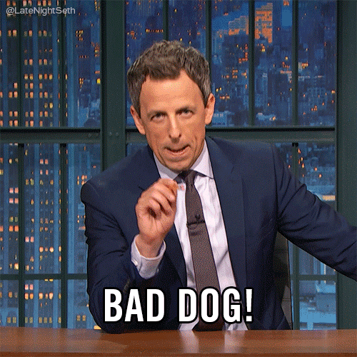 Seth Meyers GIF by Late Night with Seth Meyers