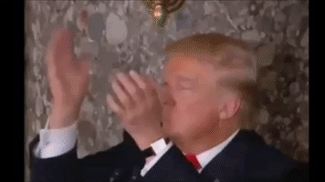 annstafford cnn spraycanann cnn meme wars GIF