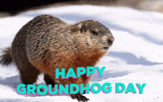 Groundhog Day Shelter GIF by Nebraska Humane Society