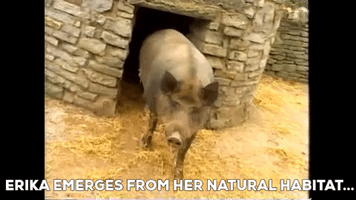 Eri-Ka! GIF