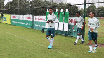 felicidade jÃ³ia GIF by SE Palmeiras