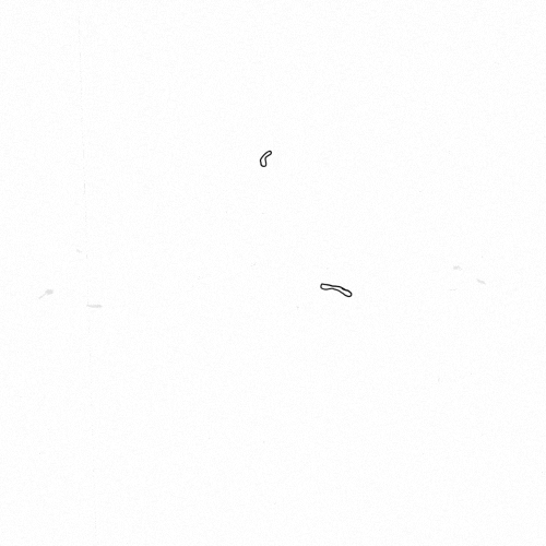 Animation Sketch GIF