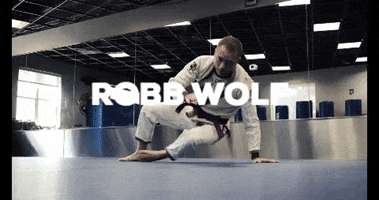 Martial Arts Bjj GIF