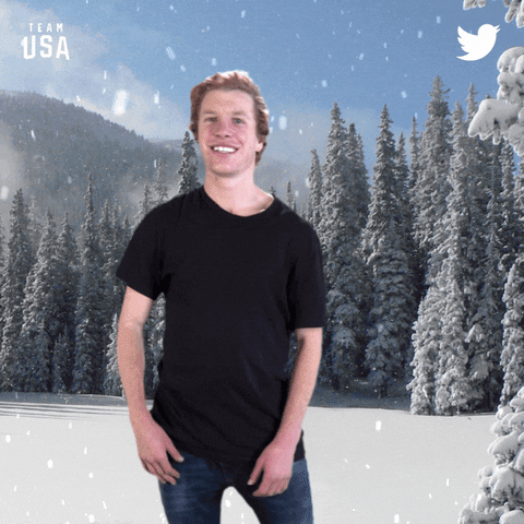 Waving Winter Olympics GIF by Twitter