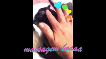 Dog Beethoven GIF