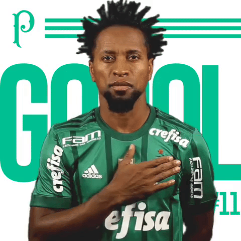 zeroberto GIF by SE Palmeiras