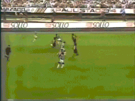 brasileiro 1993 GIF by SE Palmeiras