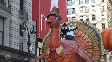 Nbc Macy GIF by The 96th Macy’s Thanksgiving Day Parade