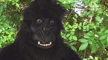 Spinner El-Bananero GIF