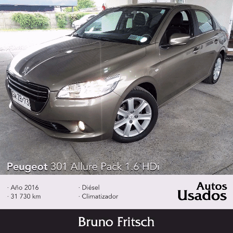 Peugeot Bruno Fritsch GIF