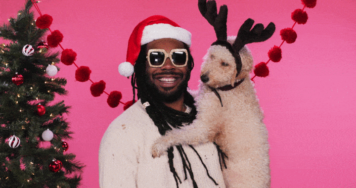 Merry Christmas Happy Holidays GIF by DRAM - Find & Share on GIPHY