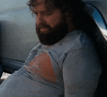 Movie gif. Zach Galifianakis as Alan in The Hangover sits against the wheel of a car, looking distraught and tired. He shakes his head slightly and says, “I’m sorry I fudged up guys.”