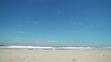 st. augustine beach GIF