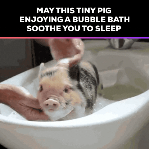 Bubble Bath GIF