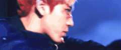 K-Pop Exo GIF
