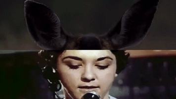 cat power cassius official GIF by CASSIUS