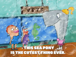season 4 whale of a birthday GIF by SpongeBob SquarePants