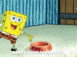 season 4 GIF by SpongeBob SquarePants
