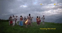 Darjeeling-limited GIFs - Get the best GIF on GIPHY