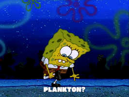 season 1 episode 3 GIF by SpongeBob SquarePants