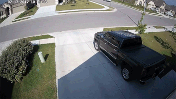 hyper1on when a cameras frame rate matches a birds flapping wings GIF