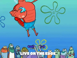 season 6 GIF by SpongeBob SquarePants