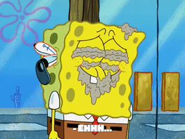 Season 8 GIF by SpongeBob SquarePants