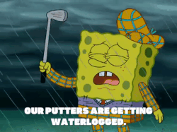 waterlogging meme gif